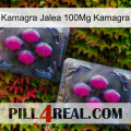 Kamagra Jelly 100Mg Kamagra 01